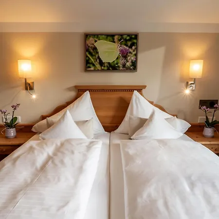 Alpen Glück Lisa Garni Kirchberg in Tirol